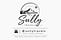 SullyTravels