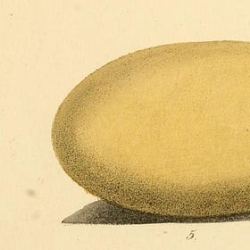 a november ghost story