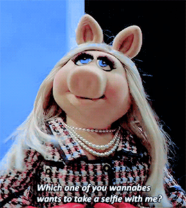 miss piggy selfie GIF - Find & Share on GIPHY miss piggy selfie GIF - Find & Share on GIPHY