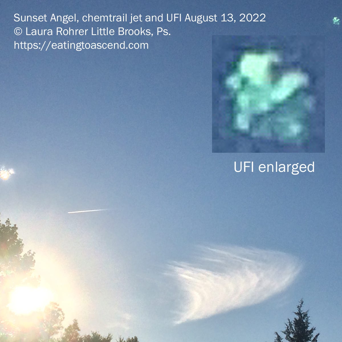 Angel Jet Wormwood enlarged inset 13Aug2022