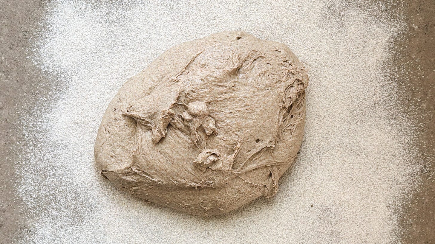 Bread dough on a well-floured countertop. Bread dough on a well-floured countertop.