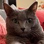 Sara B.'s avatar