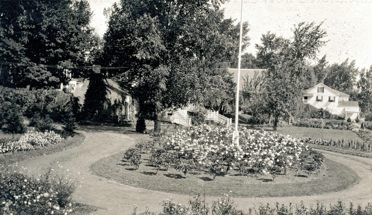Circular driveway