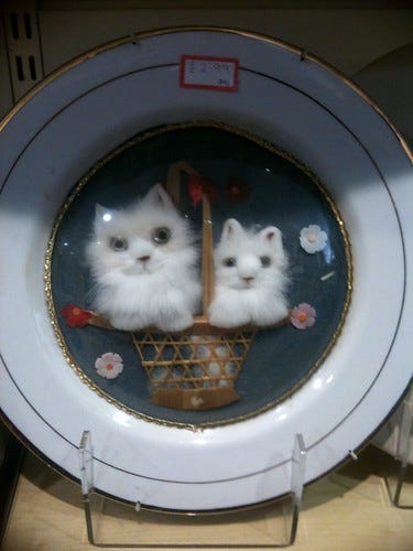 Cat Plate Cat Plate