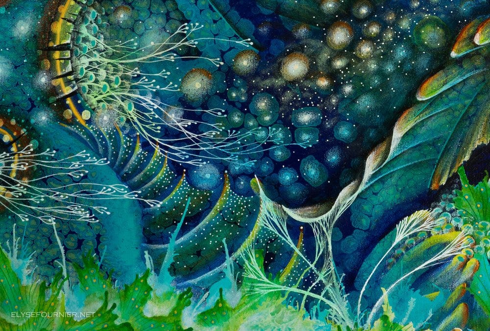 Somnium — Elyse Fournier