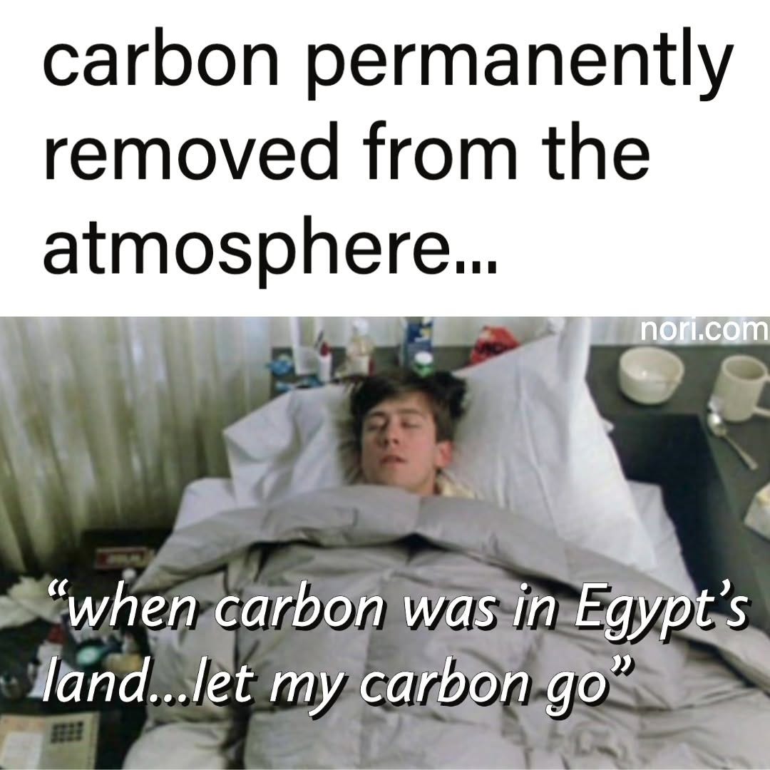 A still of a young man asleep in bed, under the text "carbon permanently removed from the atmosphere...". Subtitle: "when carbon was in Egypt's land...let my carbon go".