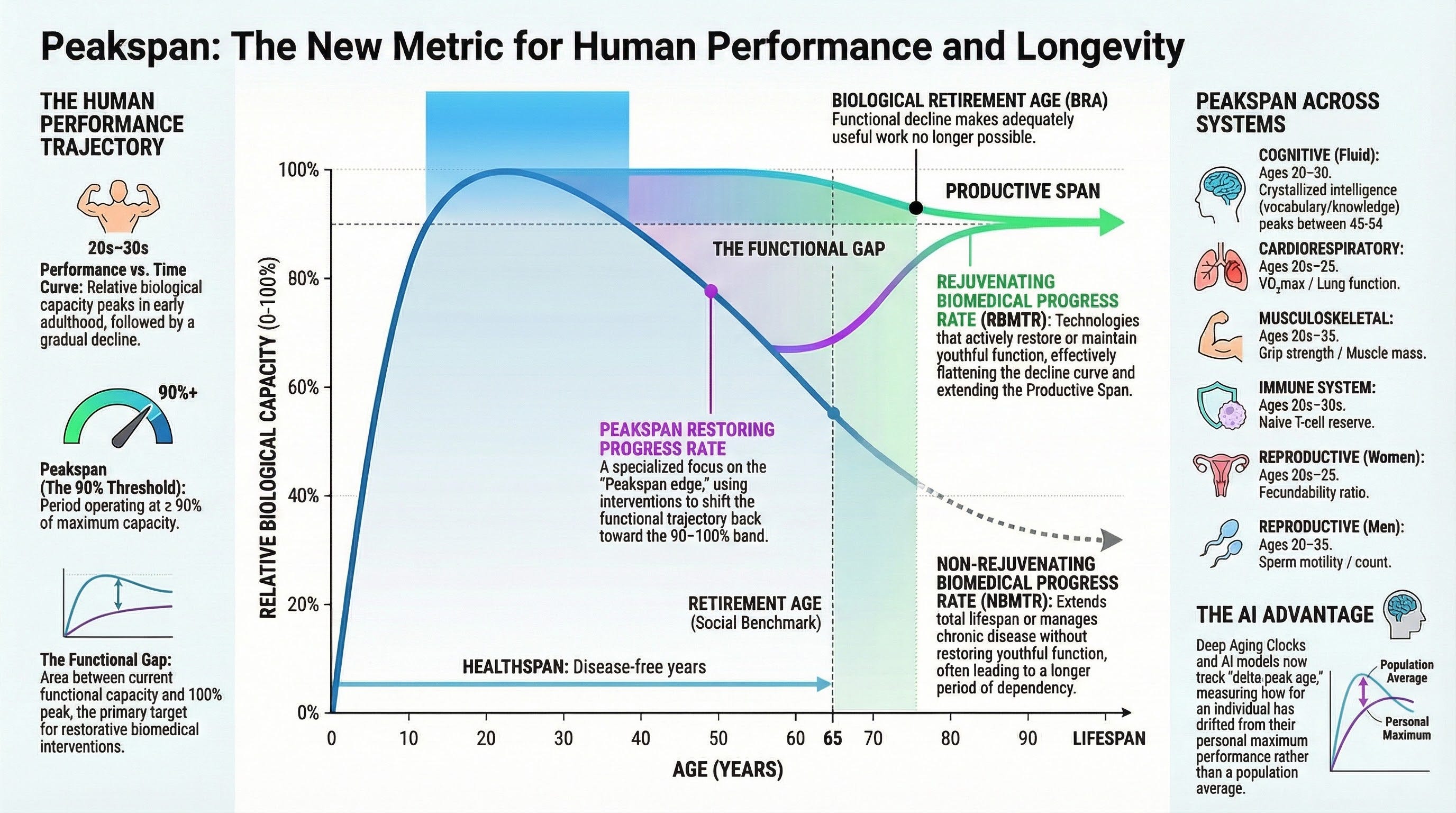 Peakspan: The True North of Longevity and Why We Must Aim Beyond Healthspan