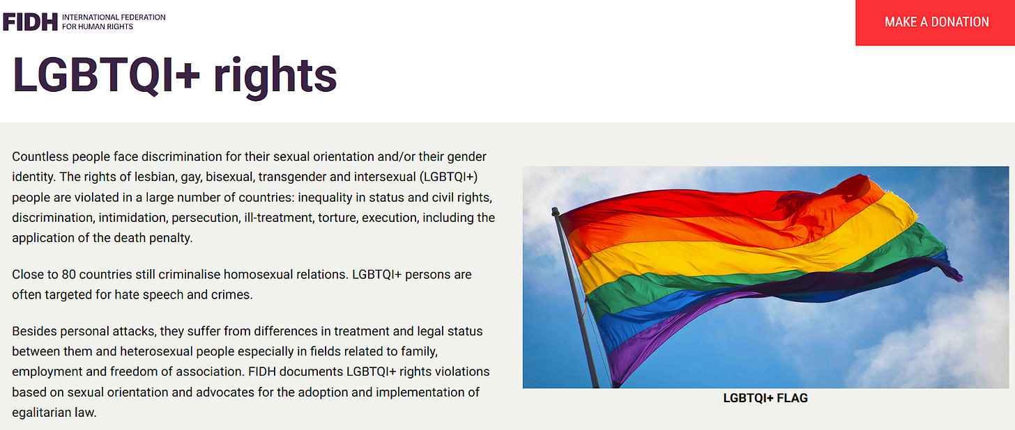 Auszug aus der LGBT Seite von FIDH (https://www.fidh.org/en/issues/lgbtqi-rights/)