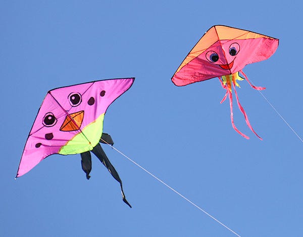 Brookings Kite Festival Brookings Kite Festival