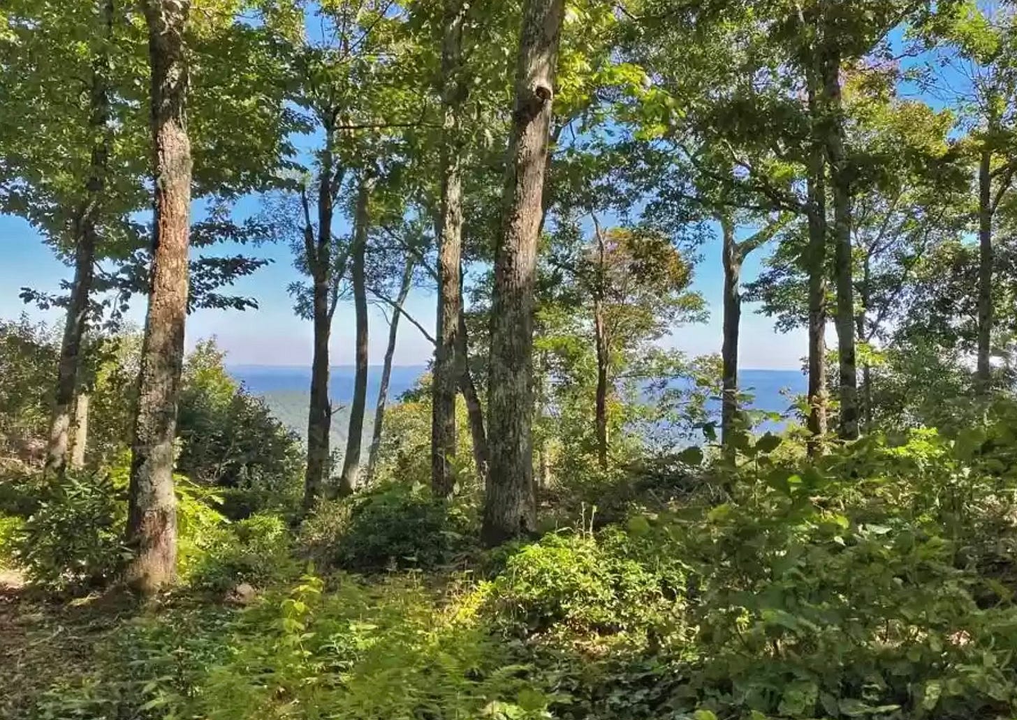 Look at this—We can start our tribe here! Look at this—We can start our tribe here!