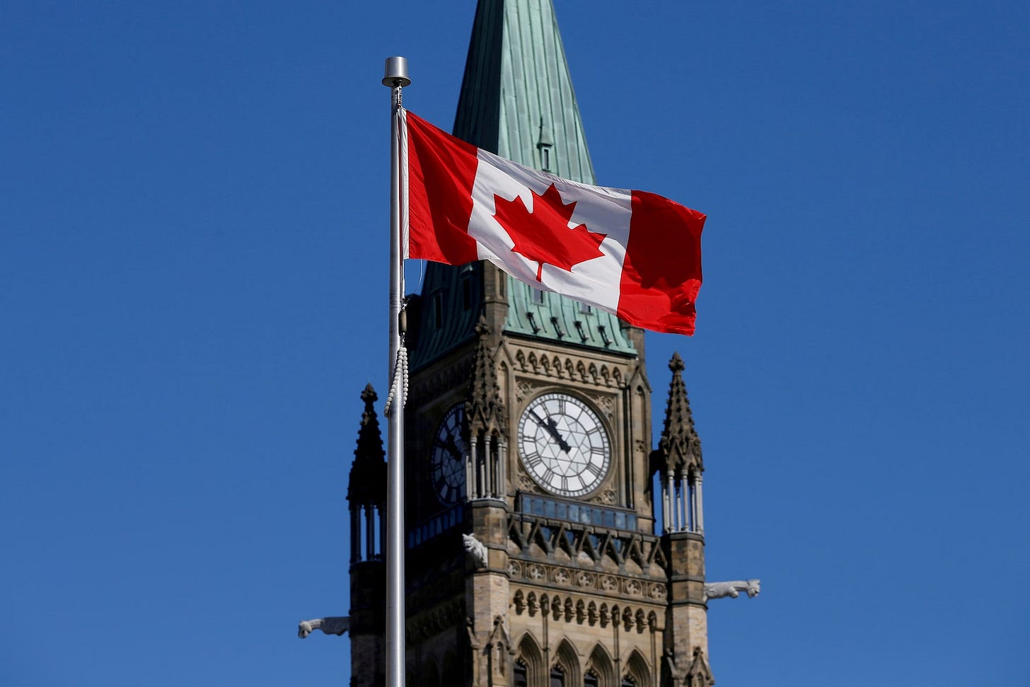 Canada orders three Chinese firms to exit lithium mining | Reuters Canada orders three Chinese firms to exit lithium mining | Reuters