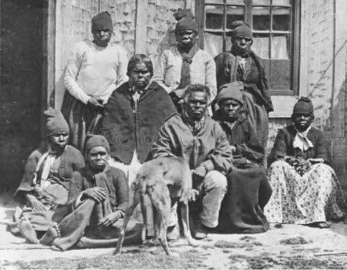 Group-portrait from nine Aborigines of trouwunna, 1860 Group-portrait from nine Aborigines of trouwunna, 1860