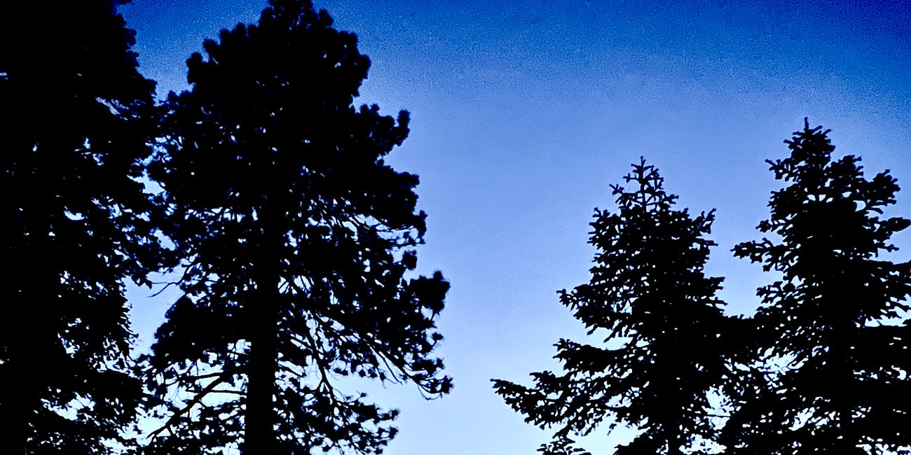 Vision Quest I: The 72 hour fast & solo camping trip that changed my life