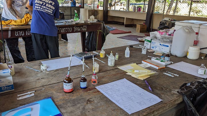 scenes of volunteering in western Thailand