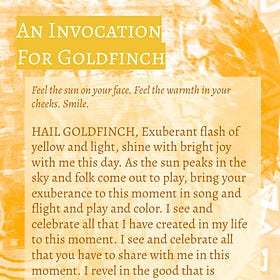 Glorious Solstice with Goldfinch