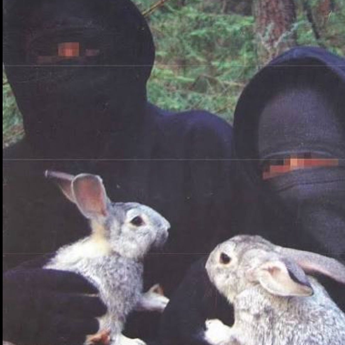 hot girl with tumors