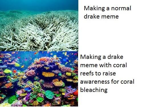 Stop Bleaching plz. :) : r/wholesomememes