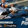 Bronx Pinstripes