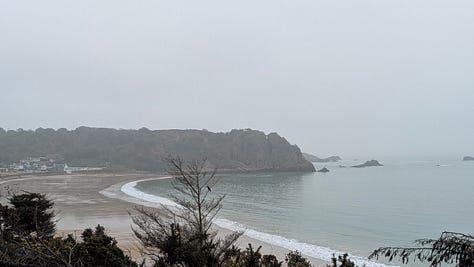 beach and views
