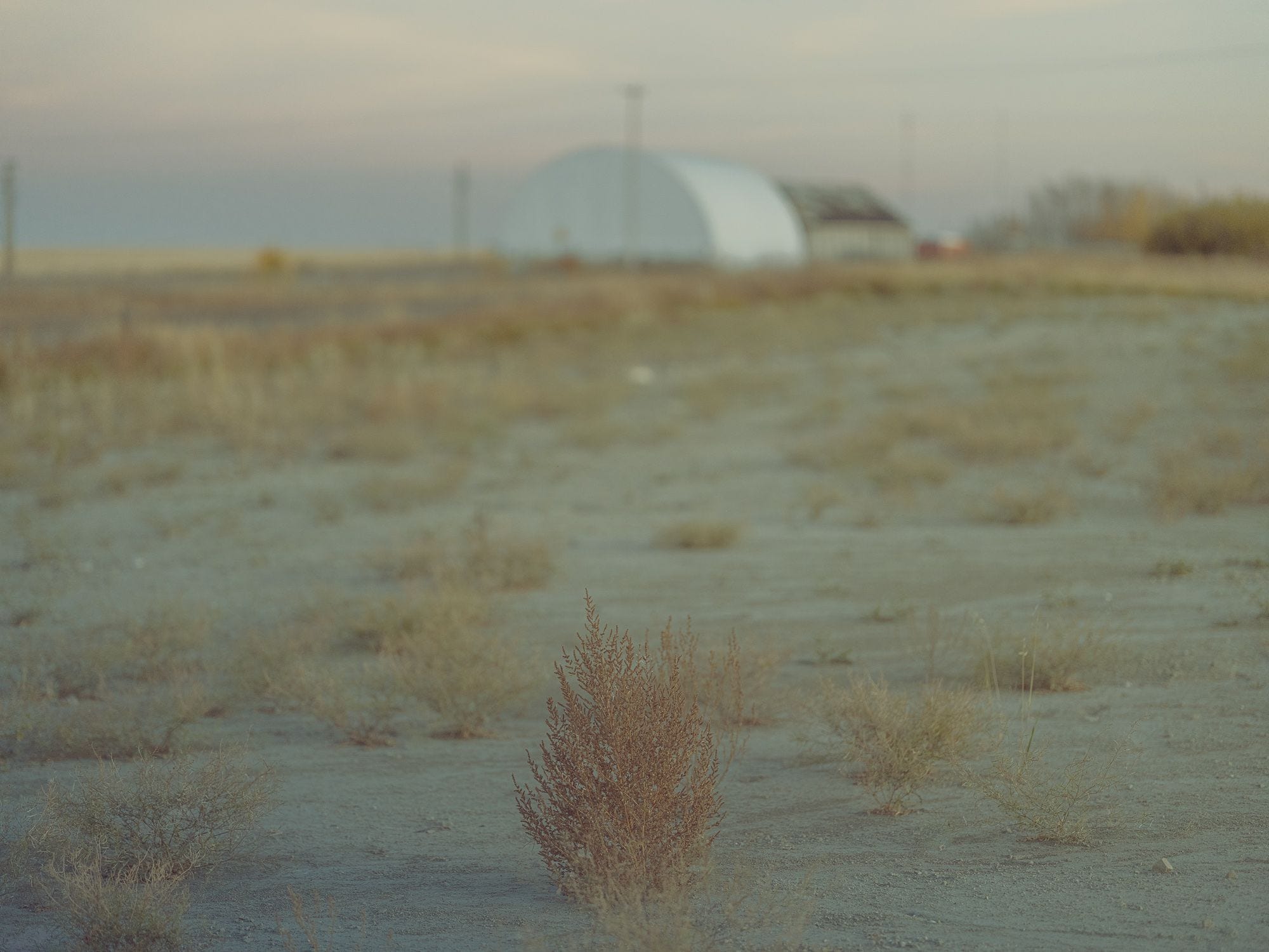 On Instagram, fantasy land and the lure of big audiences.
