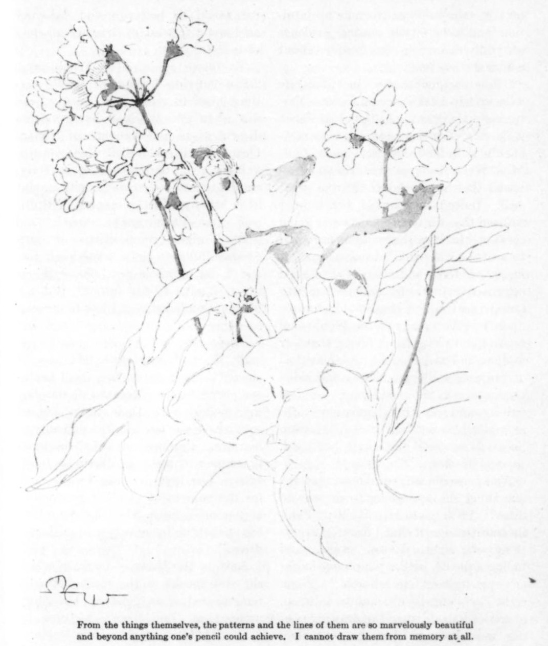 Book page image