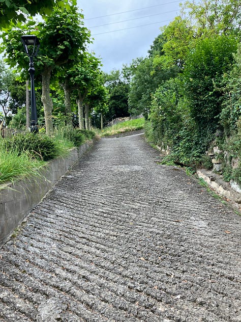 paths through green landscapes, two paved and one dirt trail