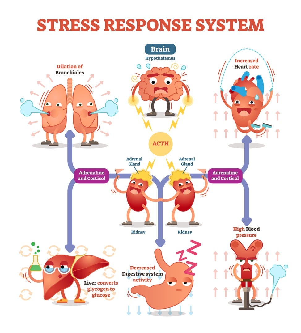 How Stress Affects Your Digestion and Ways to Manage It - United Digestive