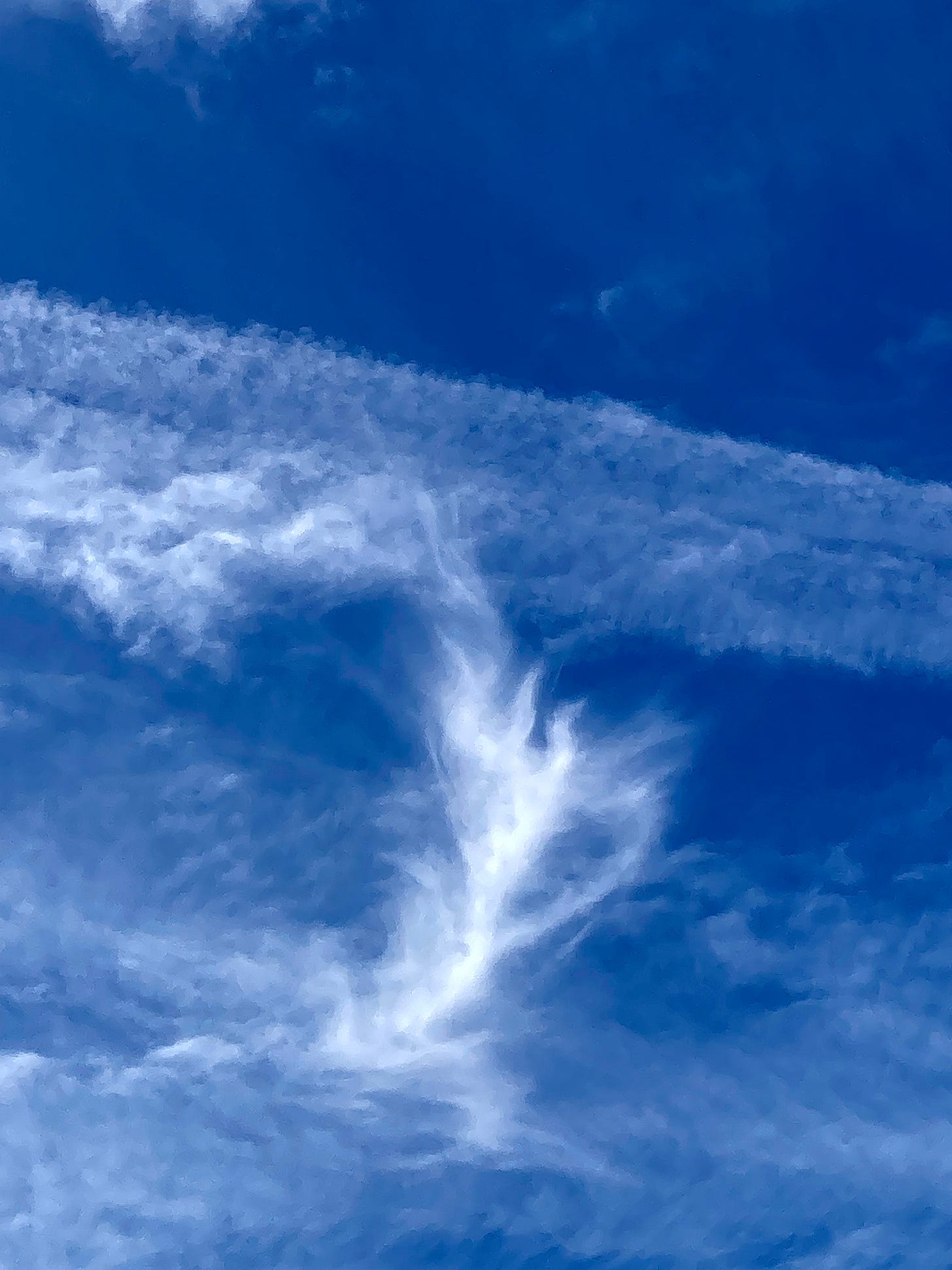 dans le ciel de Sète, le 4 mai 2024 - DH dans le ciel de Sète, le 4 mai 2024 - DH