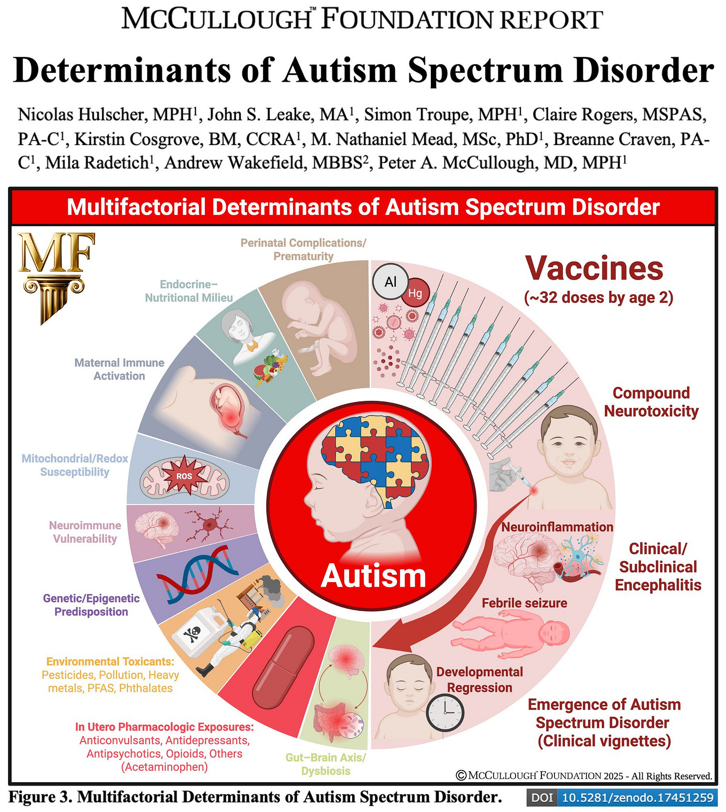 Infographic titled Multifactorial Determinants of Autism Spectrum Disorder from McCullough Foundation Report, featuring a central image of a childs face with puzzle pieces forming autism symbol, surrounded by circular segments labeled Endocrine, Genetic, Epigenetic, Nutritional, Toxicological, Infectious, Other for maternal/placental factors, and another circle for postnatal factors including Aluminum, Compound Vaccine Toxicity with 32 vaccines by age 2, Mitochondrial Dysfunction, Neuroinflammation, Clinical/ Subclinical Seizures, Gut-Brain Axis Alterations, leading to emergence of autism spectrum clinical vignettes. Infographic titled Multifactorial Determinants of Autism Spectrum Disorder from McCullough Foundation Report, featuring a central image of a childs face with puzzle pieces forming autism symbol, surrounded by circular segments labeled Endocrine, Genetic, Epigenetic, Nutritional, Toxicological, Infectious, Other for maternal/placental factors, and another circle for postnatal factors including Aluminum, Compound Vaccine Toxicity with 32 vaccines by age 2, Mitochondrial Dysfunction, Neuroinflammation, Clinical/ Subclinical Seizures, Gut-Brain Axis Alterations, leading to emergence of autism spectrum clinical vignettes.