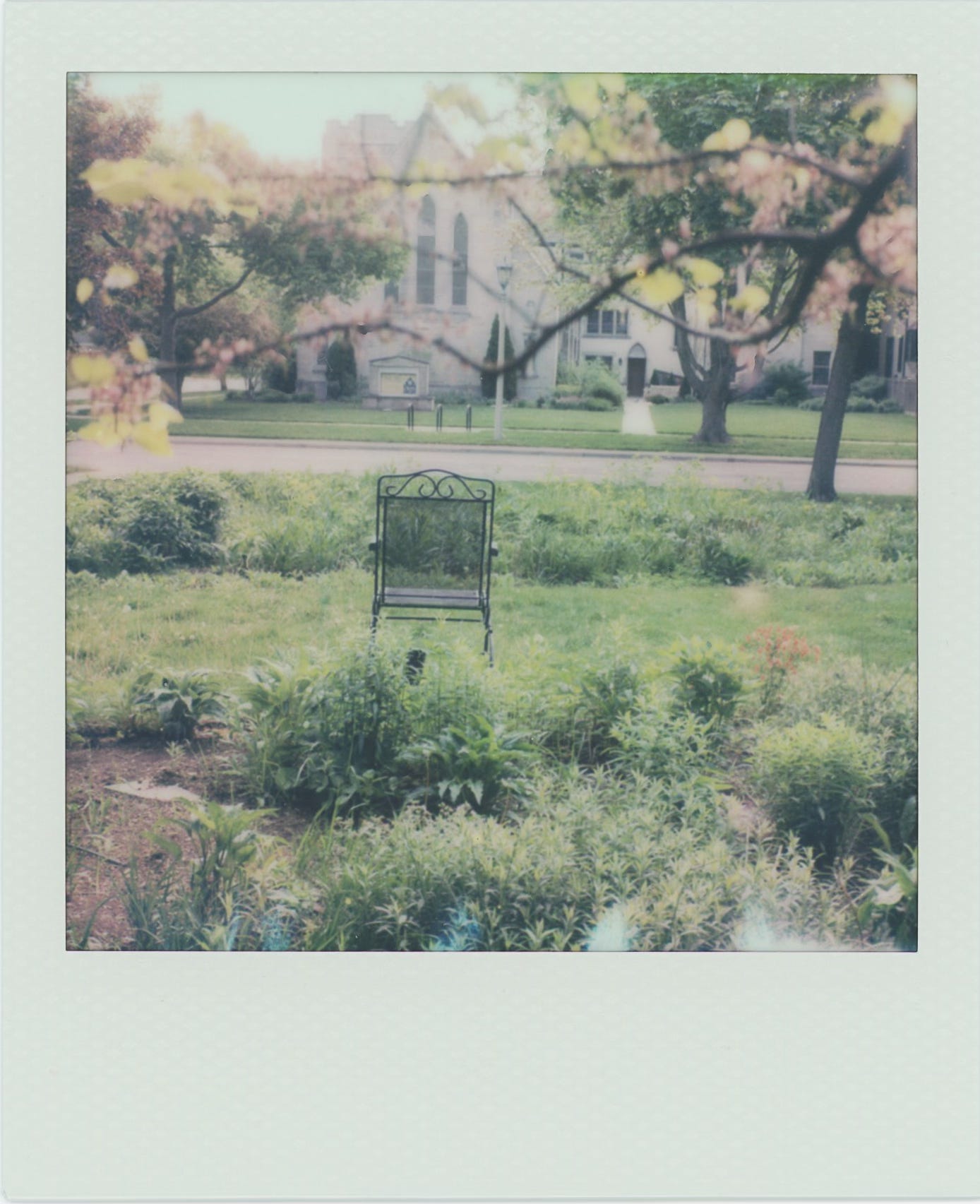 a polaroid of a front yard garden just starting to bloom, with a black wrought iron chair in front of it.