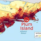 The Curious Case of Lyme's Emergence in Connecticut
