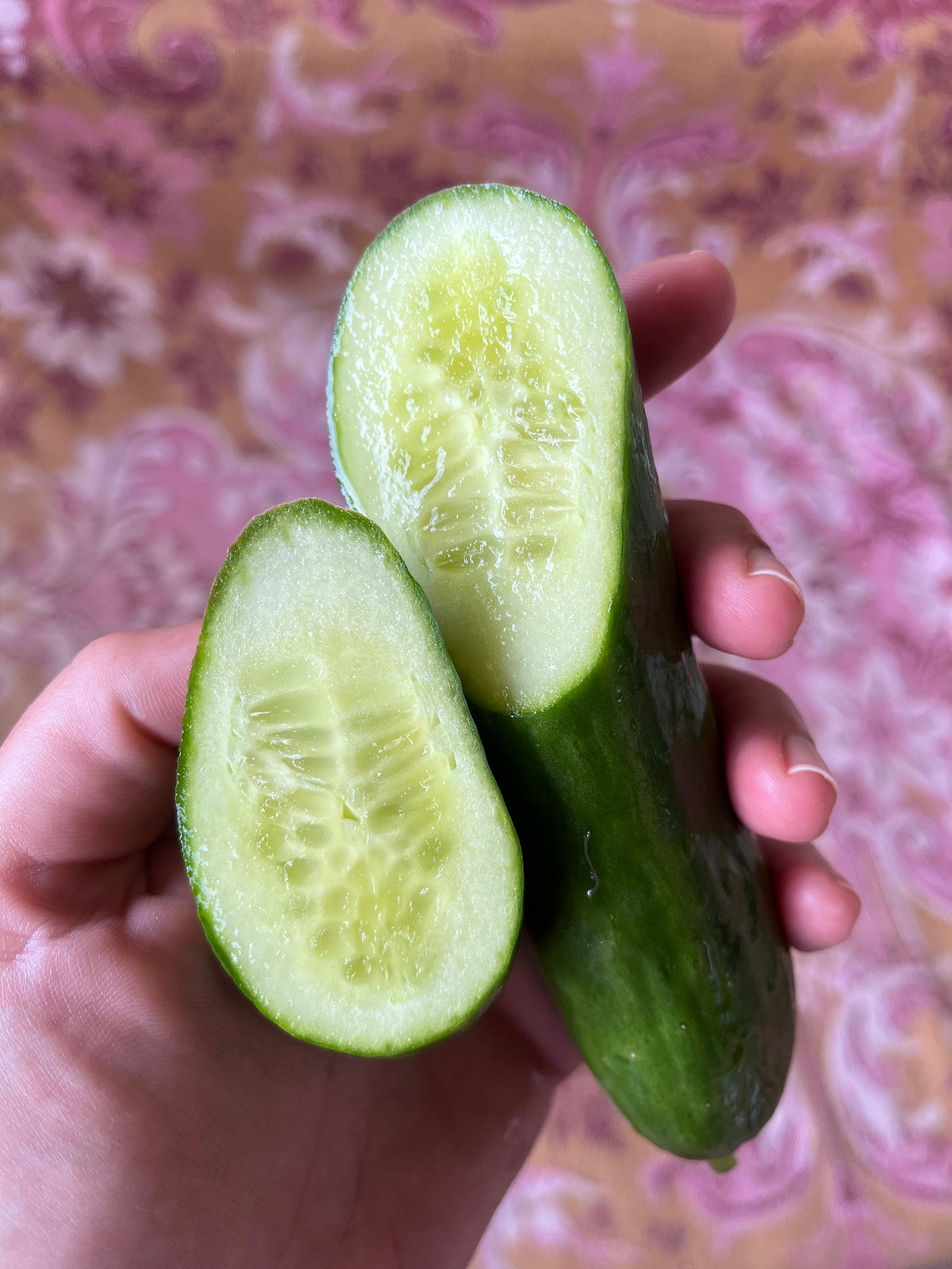A photo of Amy holding a cucumber in her hand, that's been sliced in half width-ways.