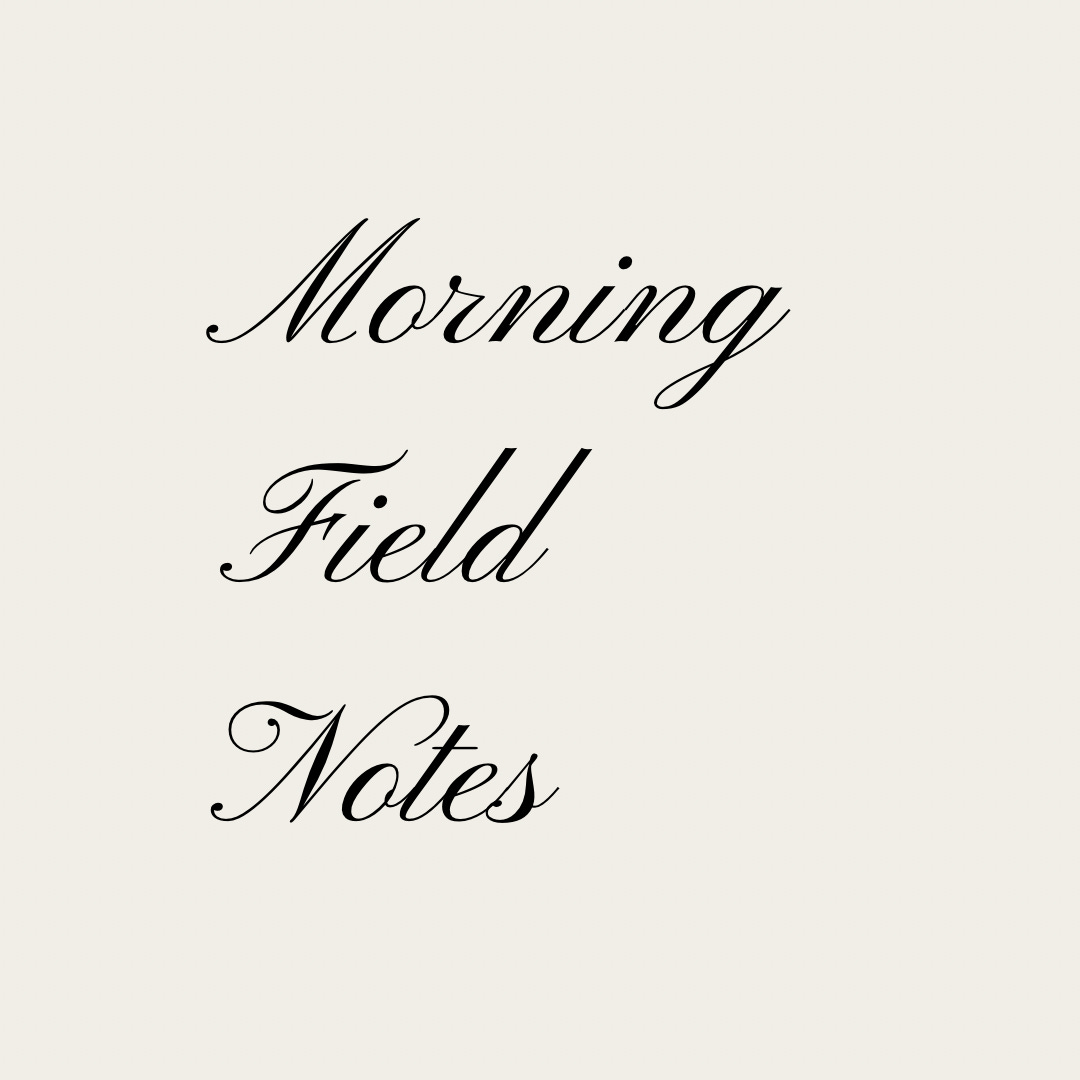 Artwork for Morning Field Notes