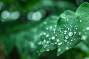 At the interface of water and air, light can, in certain conditions, bring about evaporation without the need for heat, according to an MIT study. Credits:Image: iStock