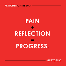Ray Dalio - There is no avoiding pain, especially if you're going after  ambitious goals. Believe it or not, you are lucky to feel that kind of pain  if you approach it