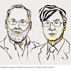 Taming the Immune Army: The Story Behind the 2025 Nobel Prize in Medicine