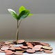A Value Fund