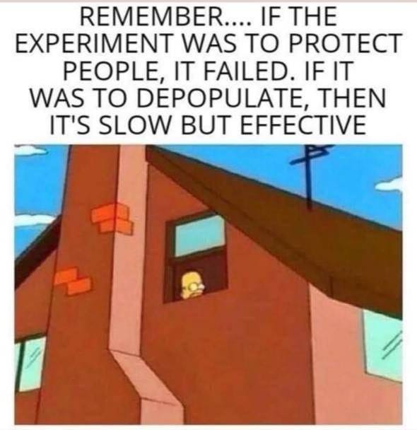 May be an image of text that says "REMEMBER.... IF THE EXPERIMENT WAS TO PROTECT PEOPLE, IT FAILED. IF IT WAS TO DEPOPULATE, THEN IT'S SLOW BUT EFFECTIVE"