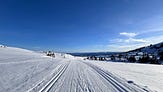 Nordic Sisu
