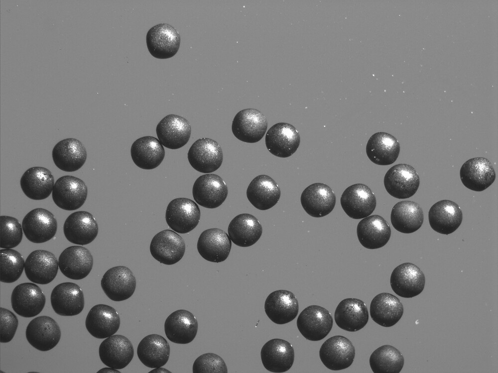 Microscope image of individual TRISO particles Microscope image of individual TRISO particles