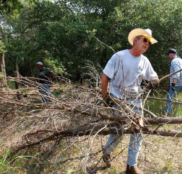 No alt text provided for this image