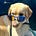 Austin's avatar