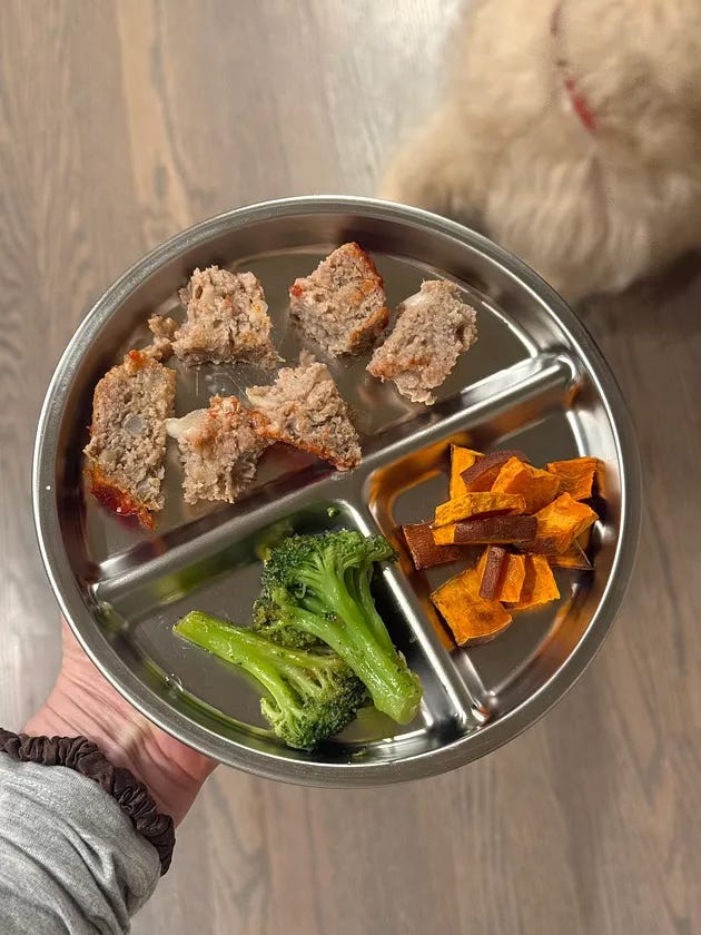 a kids plate of food with meatballs broccoli and sweet potatoes a kids plate of food with meatballs broccoli and sweet potatoes