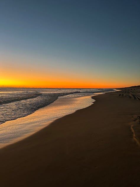 Shells, horses, and sunrises on the beach in Carova NC