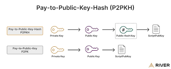 Pay-to-Public-Key-Hash (P2PKH) | River Pay-to-Public-Key-Hash (P2PKH) | River