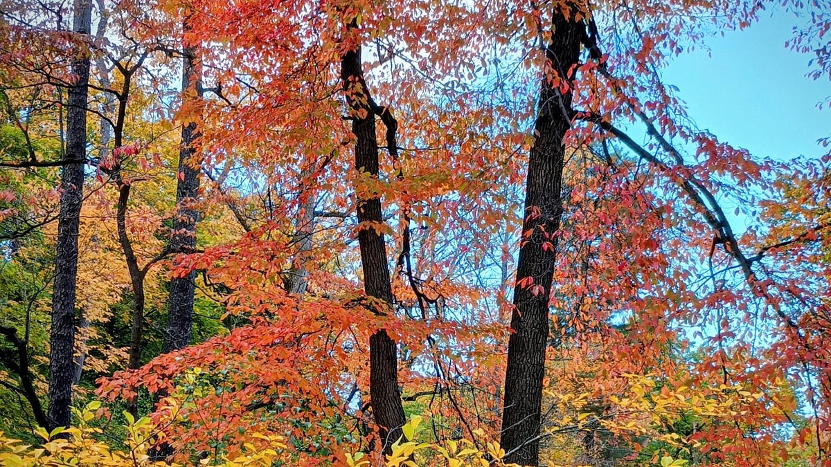 It’s The Nice Times Of The Season