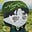 Darcy Noodle Shop's avatar