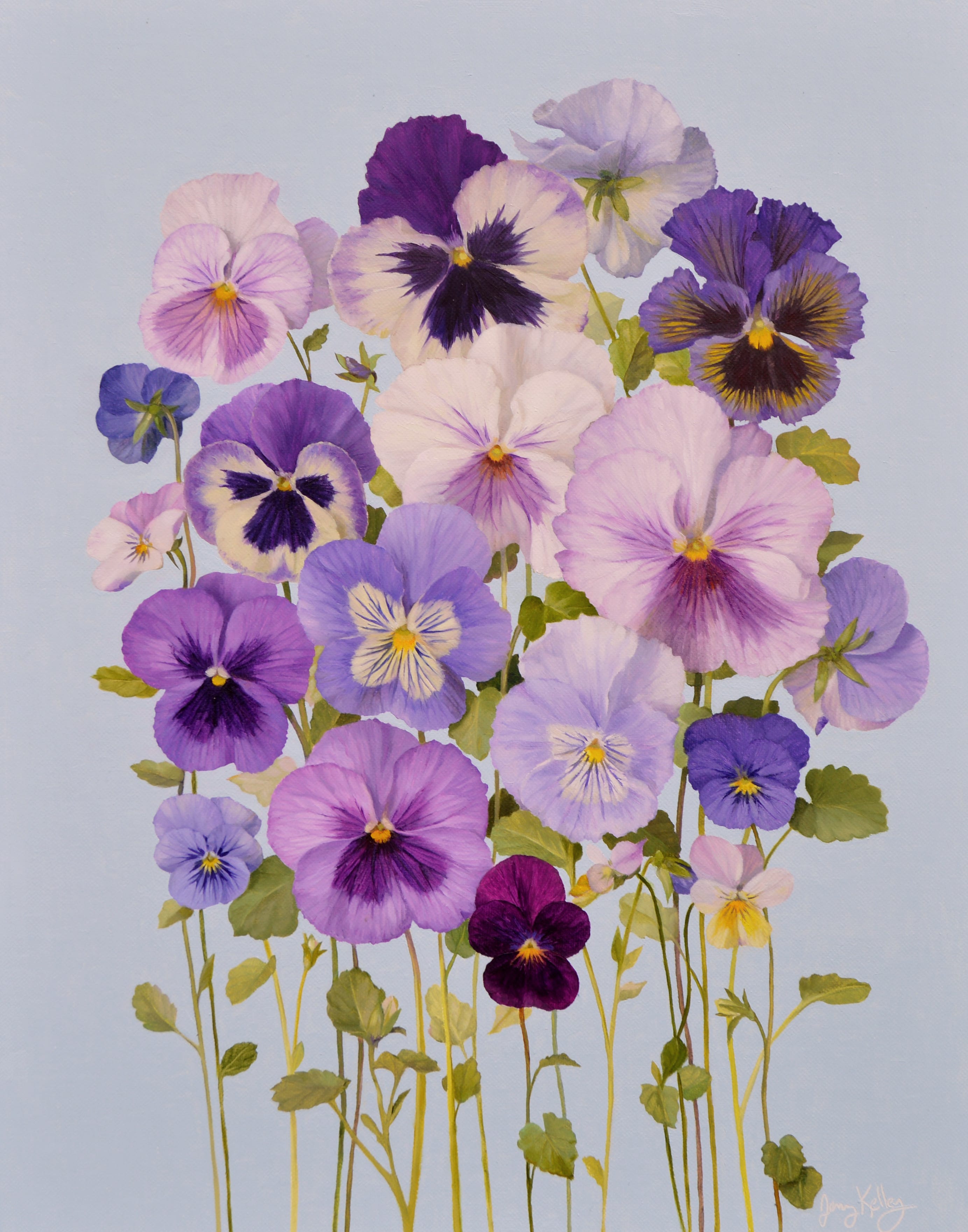 Jenny Kelley 