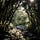 Melodic Elixir: Song Spells for Transformative Times
