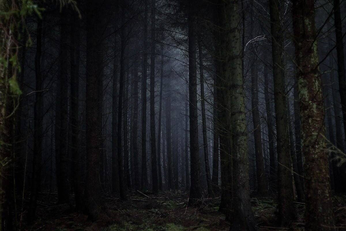 5 Chilling Tales from the Black Forest of Germany - Mysterious Adventures  Tours